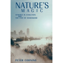 Nature's Magic: Synergy in Evolution and the Fate of Humankind