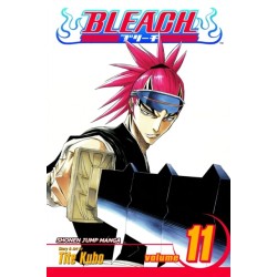Bleach, Vol. 11: A Star and a Stray Dog