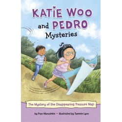 The Mystery of the Disappearing Treasure Map