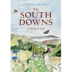 The South Downs: A Painted Year