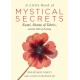 A Little Book of Mystical Secrets: Rumi, Shams of Tabriz, and the Path of Ecstasy