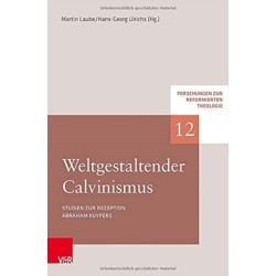 Weltgestaltender Calvinismus: Studien zur Rezeption Abraham Kuypers