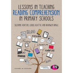 Lessons in Teaching Reading Comprehension in Primary Schools