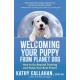 Welcoming Your Puppy from Planet Dog: How to Bridge the Culture Gap, Go Beyond Training and Raise Your Best Friend