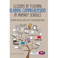 Lessons in Teaching Reading Comprehension in Primary Schools