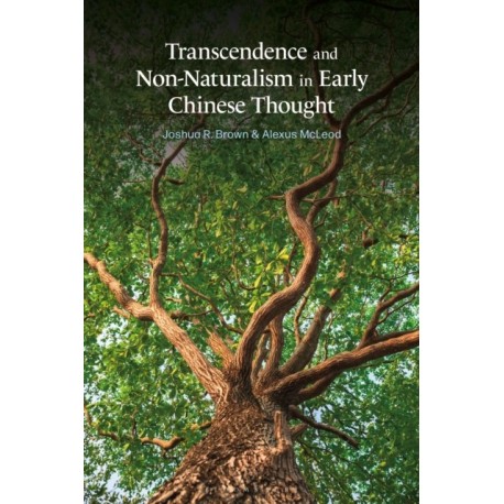 Transcendence and Non-Naturalism in Early Chinese Thought