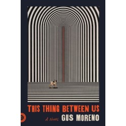 This Thing Between Us: A Novel