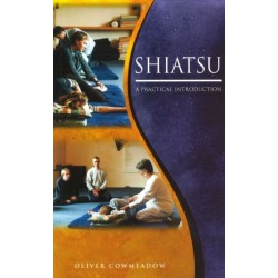 Shiatsu: An Introductory Guide to the Technique and its Benefits