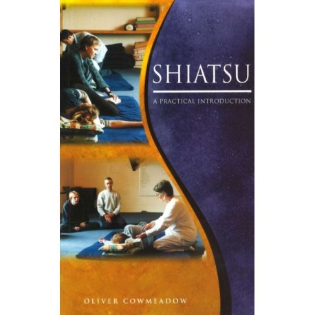 Shiatsu: An Introductory Guide to the Technique and its Benefits