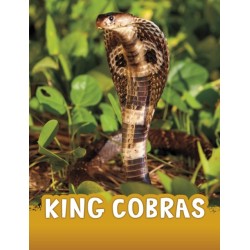 King Cobras