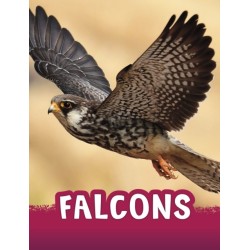 Falcons