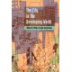 The City in the Developing World