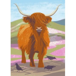 Nature Notebook: Highland Cow