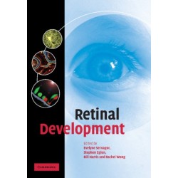 Retinal Development
