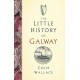 The Little History of Galway