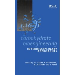 Carbohydrate Bioengineering: Interdisciplinary Approaches