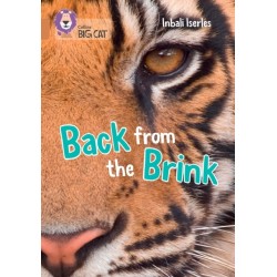 Back from the Brink: Band 12/Copper