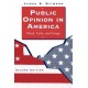Public Opinion In America: Moods, Cycles, And Swings, Second Edition