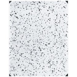 Andrea Ferrari: By Means of the Sun