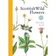 Scottish Wild Flowers: Mini Guide