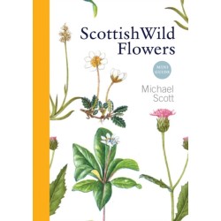 Scottish Wild Flowers: Mini Guide