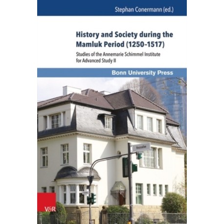 History and Society during the Mamluk Period (1250–1517): Studies of the Annemarie Schimmel Institute for Advanced Study II