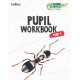 Snap Science Pupil Workbook Year 4