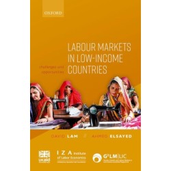 Labour Markets in Low-Income Countries: Challenges and Opportunities