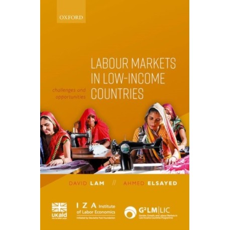 Labour Markets in Low-Income Countries: Challenges and Opportunities