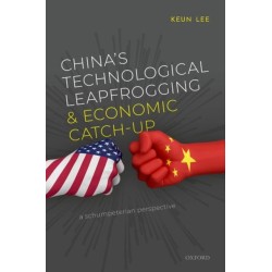China's Technological Leapfrogging and Economic Catch-up: A Schumpeterian Perspective