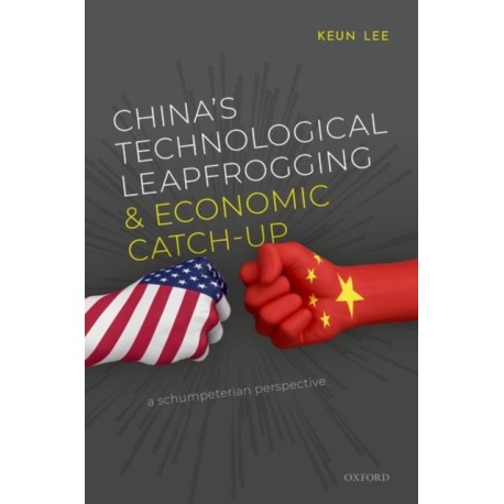 China's Technological Leapfrogging and Economic Catch-up: A Schumpeterian Perspective