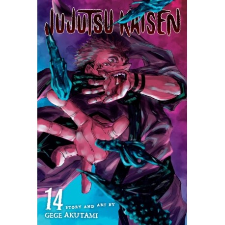Jujutsu Kaisen, Vol. 14: The Shibuya Incident--Right And Wrong--
