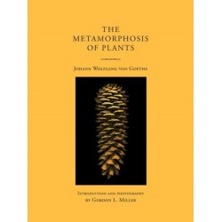 The Metamorphosis of Plants