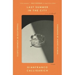 Last Summer in the City: A Novel