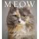 Meow: A Book of Happiness for Cat Lovers