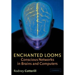 Enchanted Looms: Conscious Networks in Brains and Computers