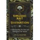 The Druidic Art of Divination: Understanding the Past and Seeing into the Future