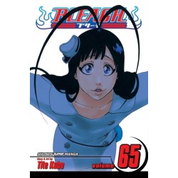 Bleach, Vol. 65: Marching Out the Zombies