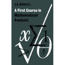 A First Course in Mathematical Analysis