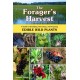 The Forager's Harvest: A Guide to Identifying, Harvesting, and Preparing Edible Wild Plants