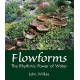 Flowforms: The Rhythmic Power of Water