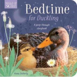 Bedtime for Duckling: A peek-through storybook