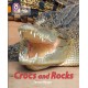 Crocs and Rocks: Band 06/Orange