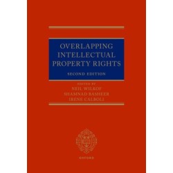 Overlapping Intellectual Property Rights