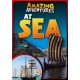 At Sea