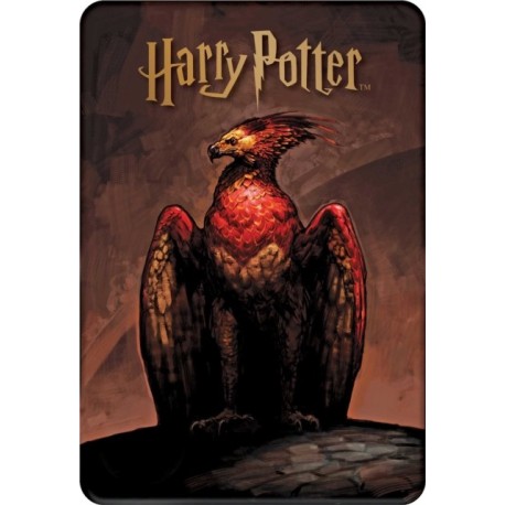 Harry Potter: Magical Creatures Concept Art Postcard Tin Set