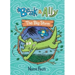 Beak & Ally -3: The Big Storm: A Graphic Novel