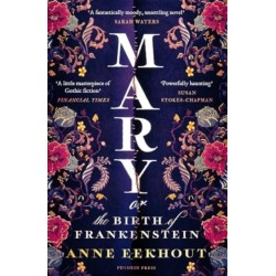 Mary: or, the Birth of Frankenstein