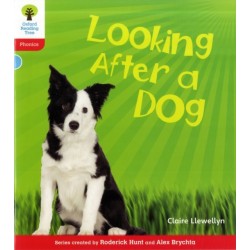Oxford Reading Tree: Level 4: Floppy's Phonics Non-Fiction: Looking After a Dog