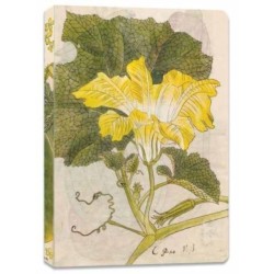 Japanese Squash Blossom Lined Paperback Journal: Blank Notebook with Pocket